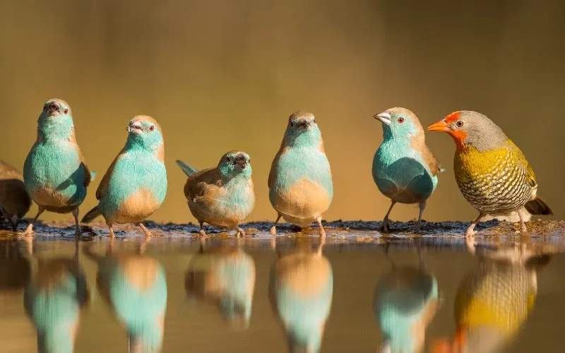 Vivere-Vital-Yoga-Retreats-in-Deutschland-Entspannen-und-Ruhe-finden Vivere-Vital-Yoga-Retreats-in-Deutschland-Entspannen-und-Ruhe-finden