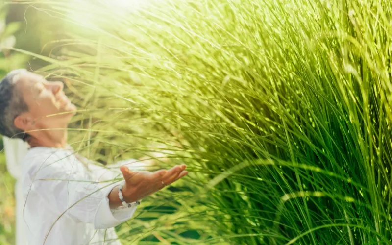 Vivere-Vital-Yoga-Retreats-in-Deutschland-Entspannen-und-Ruhe-finden Vivere-Vital-Yoga-Retreats-in-Deutschland-Entspannen-und-Ruhe-finden