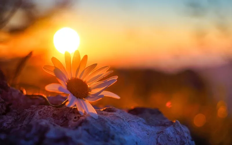 Der Beginn eines neuen Tages