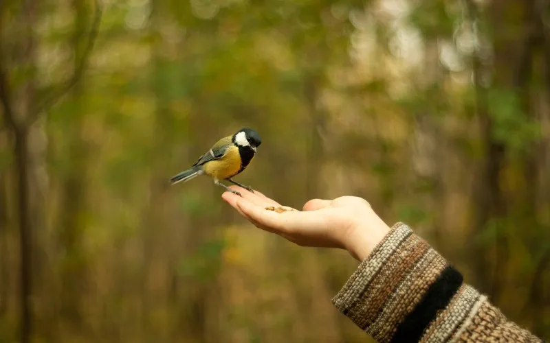 Urvertrauen stärken durch das Muladhara Chakra 🍁 – Ein tiefer Einblick