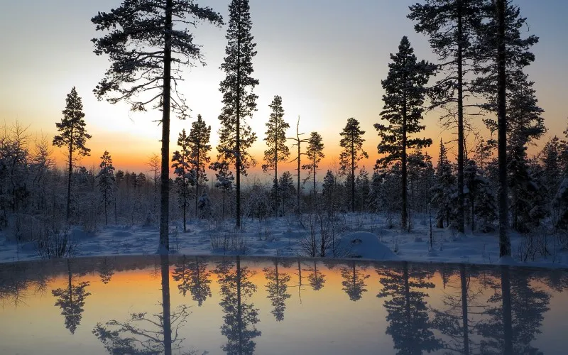 Vivere-Vital-Yoga-Retreats-in-Deutschland-Entspannen-und-Ruhe-finden Vivere-Vital-Yoga-Retreats-in-Deutschland-Entspannen-und-Ruhe-finden