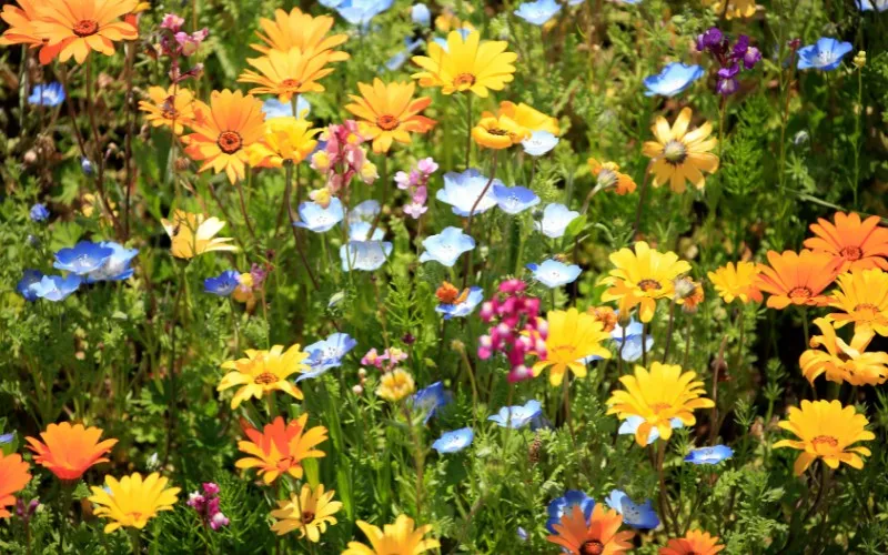 Vivere-Vital-Yoga-Retreats-in-Deutschland-Entspannen-und-Ruhe-finden