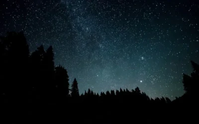 Tag- und Nachtgleiche