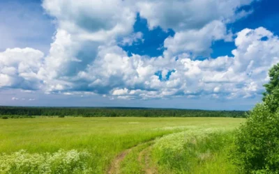 Die Freude leitet mich