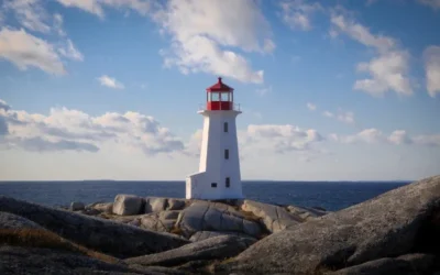 Folge der Freude….