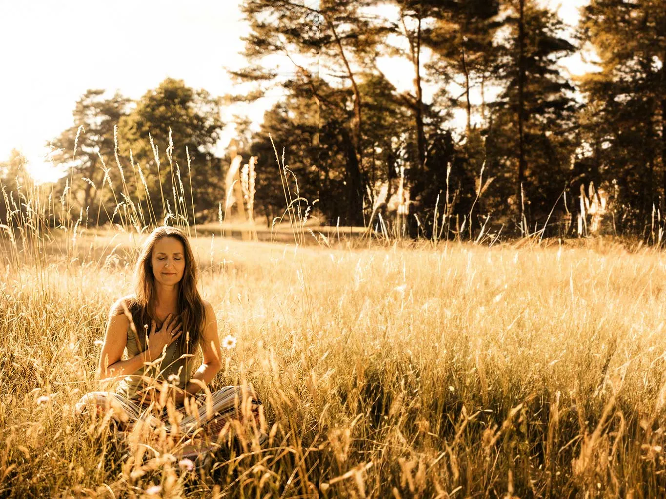 Vivere-Vital-Yoga-Retreats-in-Deutschland-Entspannen-und-Ruhe-finden Vivere-Vital-Yoga-Retreats-in-Deutschland-Entspannen-und-Ruhe-finden