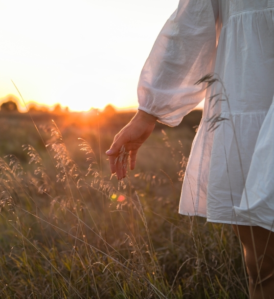 Bildungsurlaub Stressabbau - Seminare mit Vivere Vital