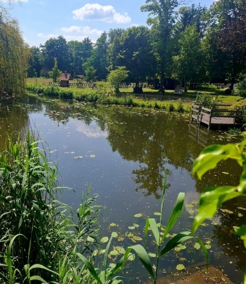 Kloster Vinnenberg - Natur und Stressabbau - Vivere Vital Retreats