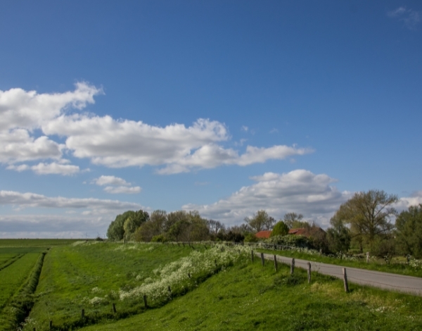 Ostsee Landschafts Ausblick waehrend eines Vivere Vital Retreats