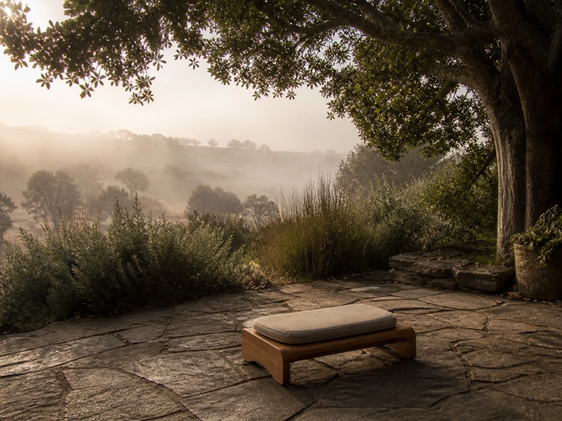 Ein stiller Sitzplatz unter einem Baum am Morgen — Atmosphäre eines Yoga-Retreats für mehr Ruhe bei Ängsten